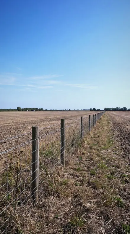 Graded with Highland Thin: Sun on the fence, no fill