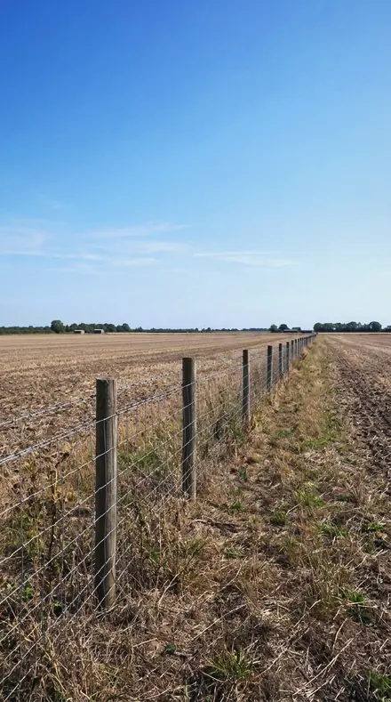 Rare Air applied to Sun on the fence, no fill