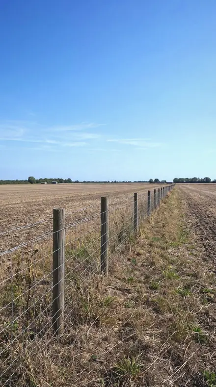 Airless Noon applied to Sun on the fence, no fill