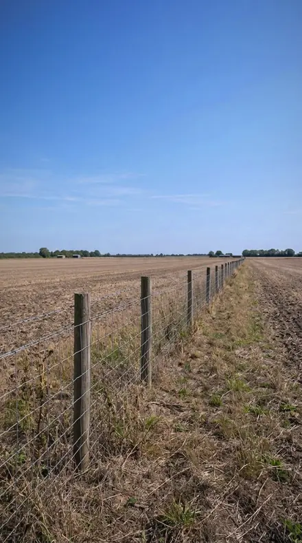 Sun Sting applied to Sun on the fence, no fill