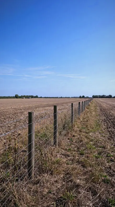 Scree Field applied to Sun on the fence, no fill